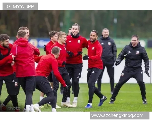 威尔士与特立尼达友谊赛精彩对决展现足球魅力与团队精神