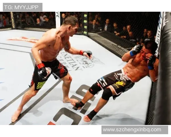 迈克尔比斯平与康李的巅峰对决谁能笑到最后解析精彩战局